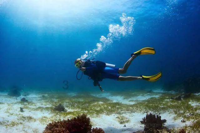 “流水贷”为2600余户企业放款22.6亿元