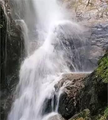 星动，只为你